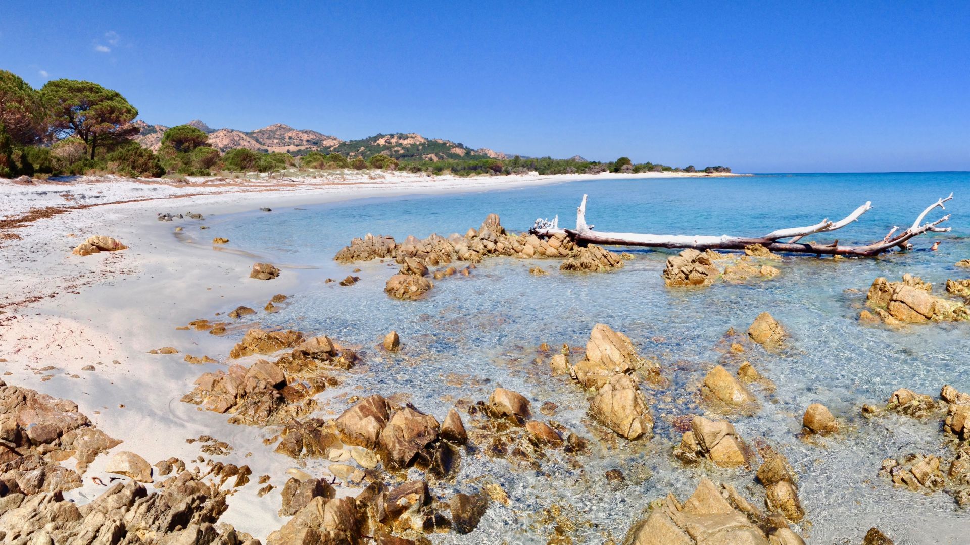 Bild von Sardinien